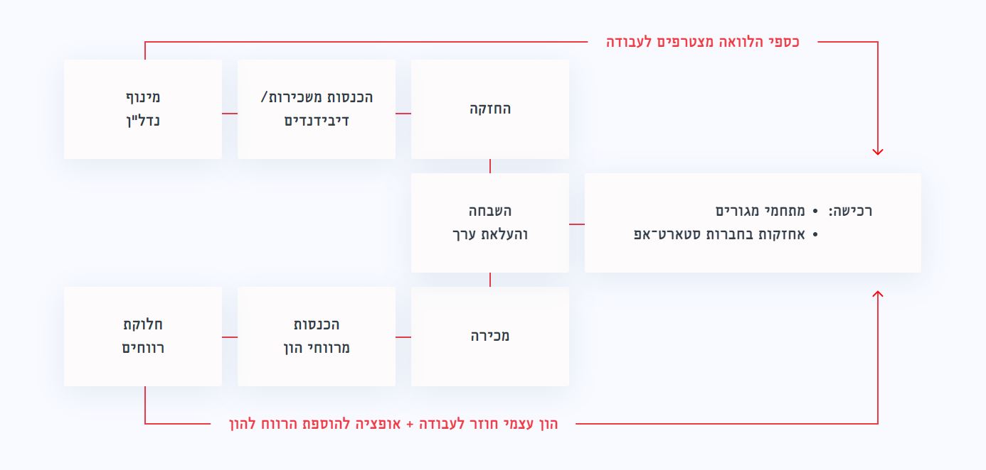 אופי פעילות השקעות בליברקי